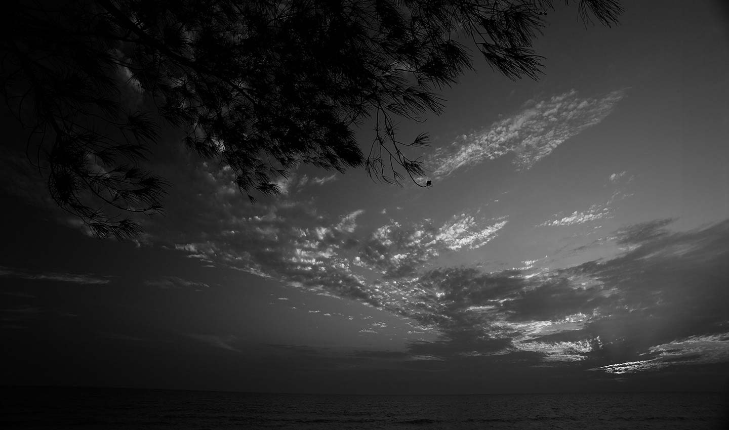 Hermitage-Sunset-Florida-America-seaside-beach-black_and_white-Photography-Lindsay_Robertson