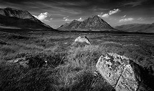 Stacks Image 367