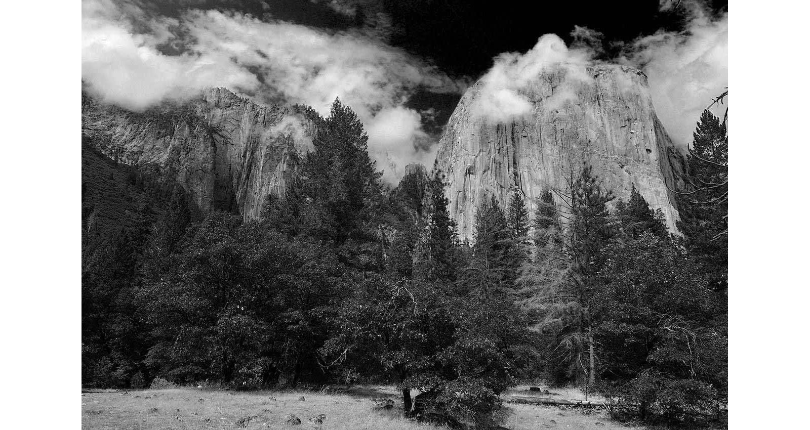 Stacks Image 142