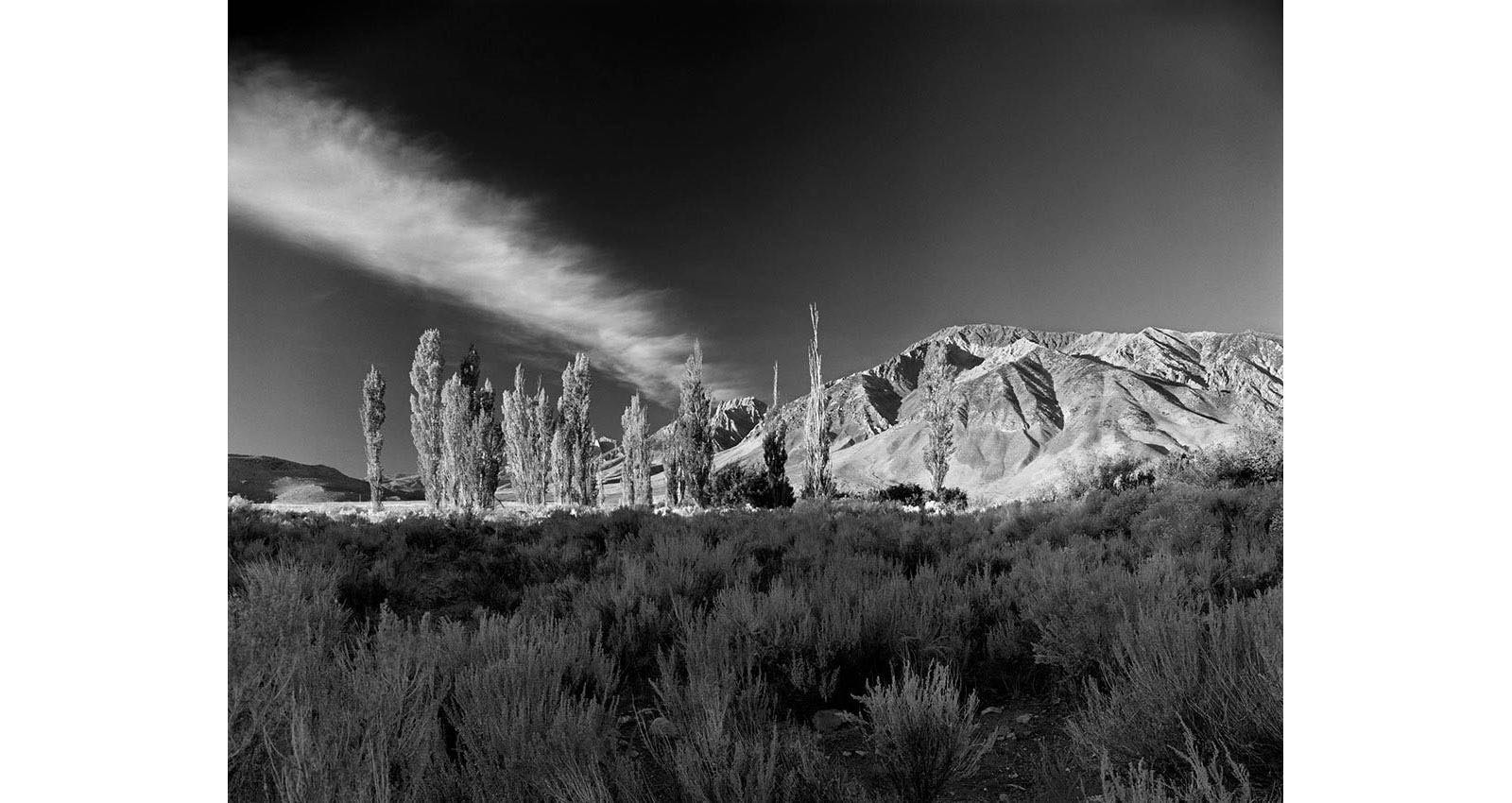 Stacks Image 189