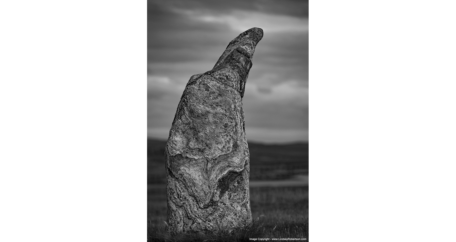 Stacks Image 142
