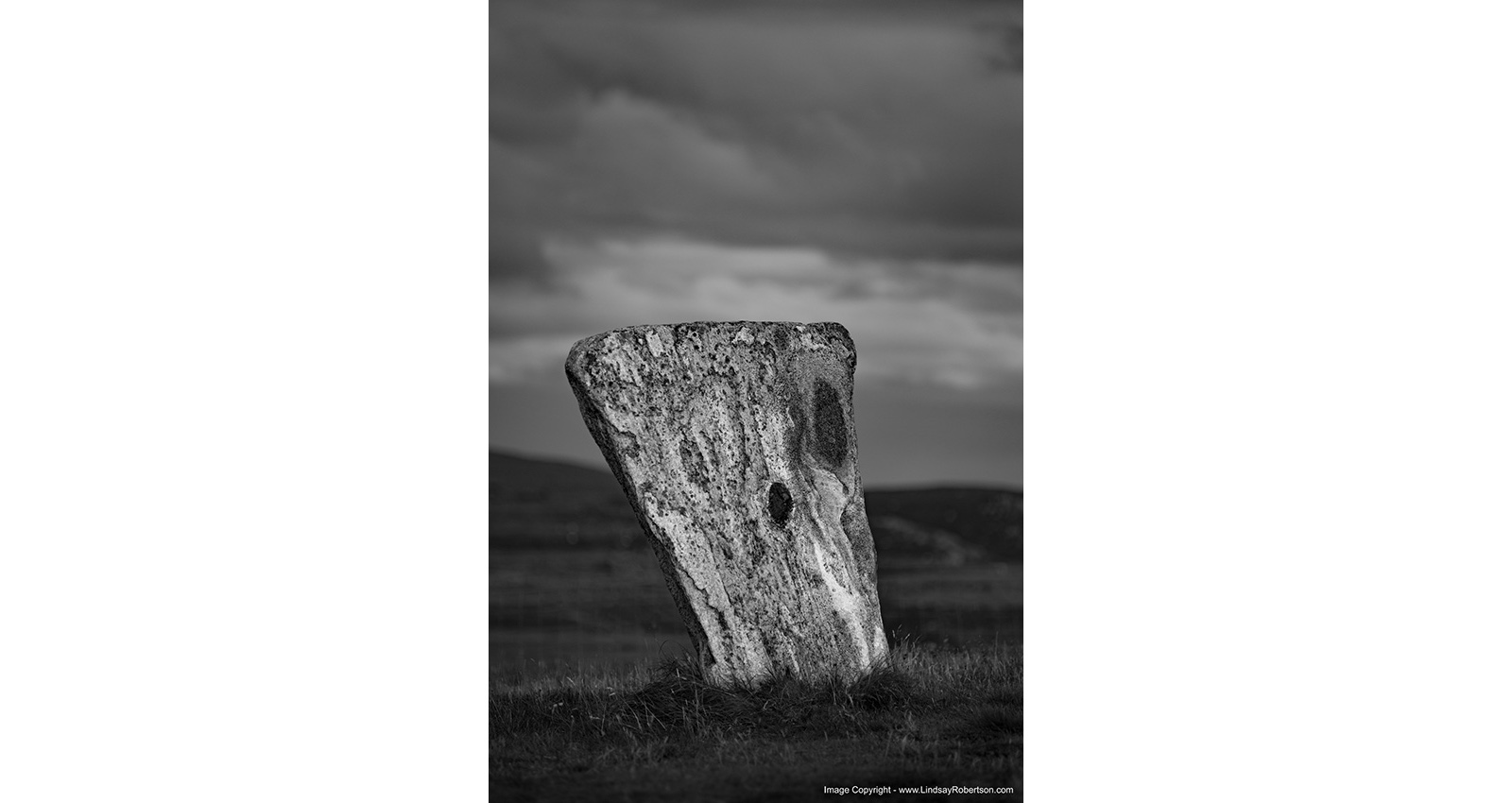 Stacks Image 142