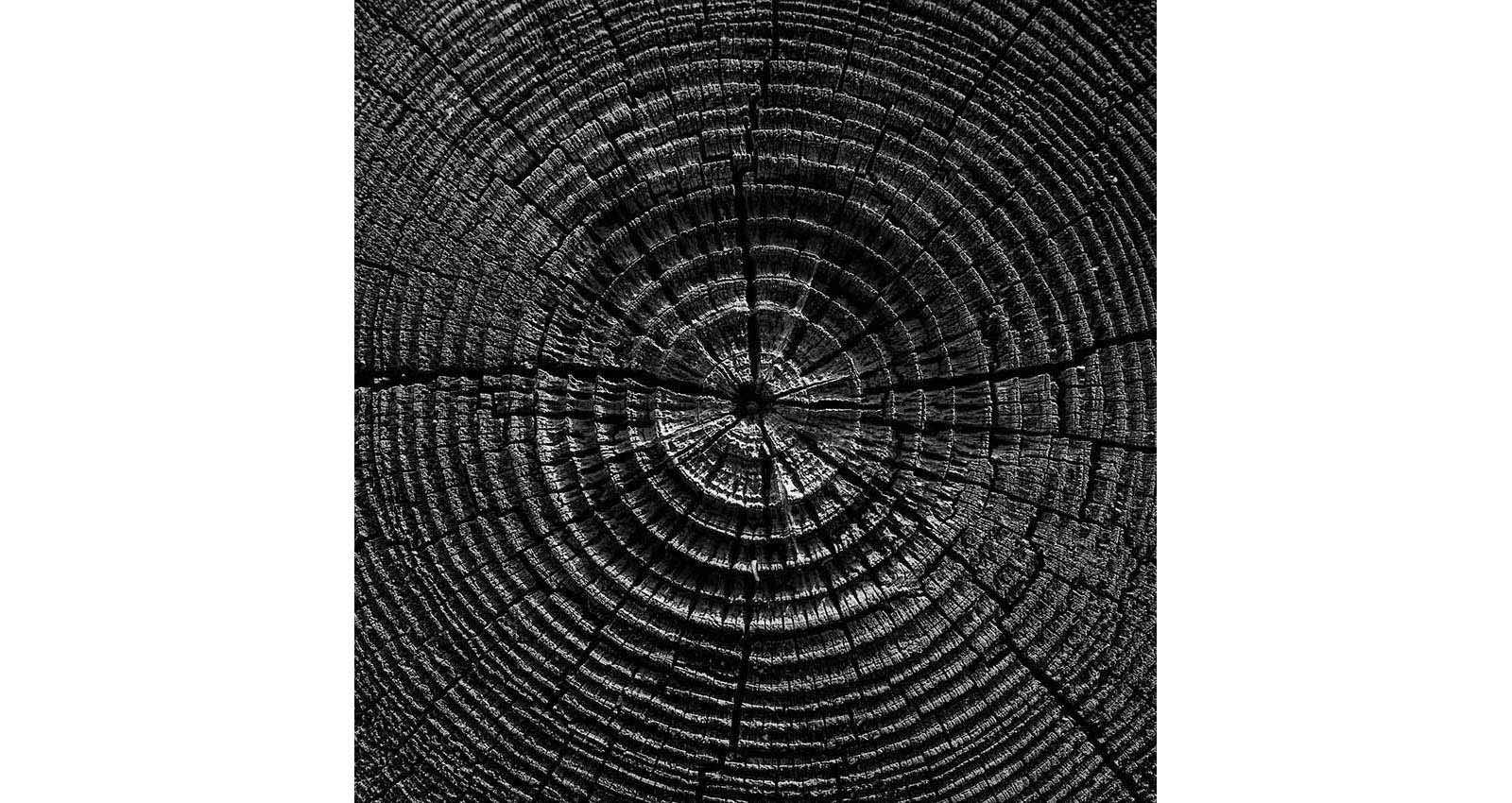 Stacks Image 185
