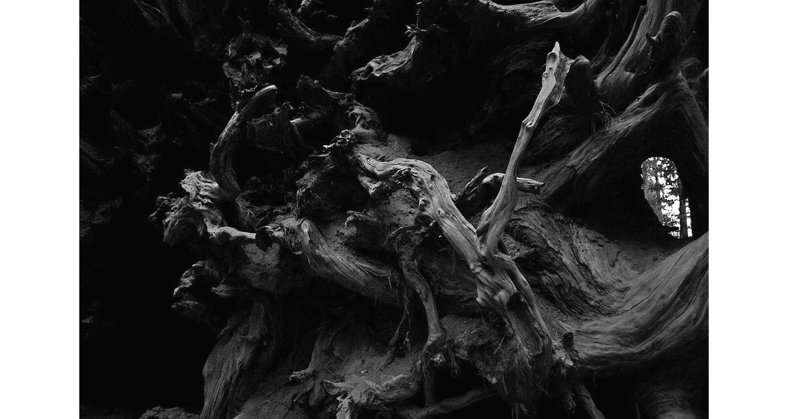 Stacks Image 150