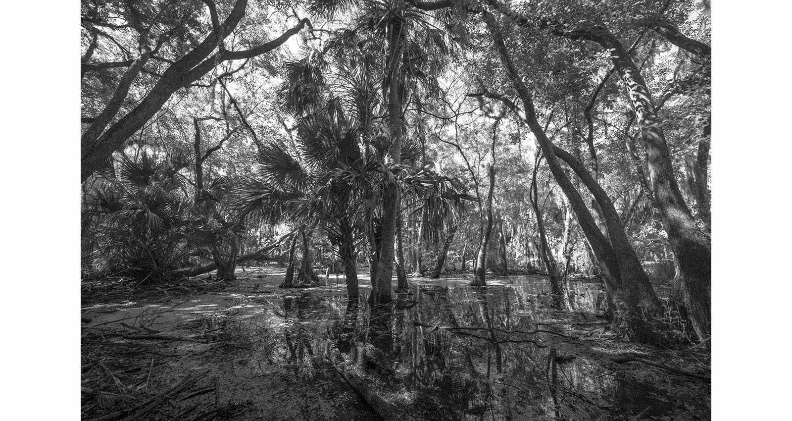 Stacks Image 190