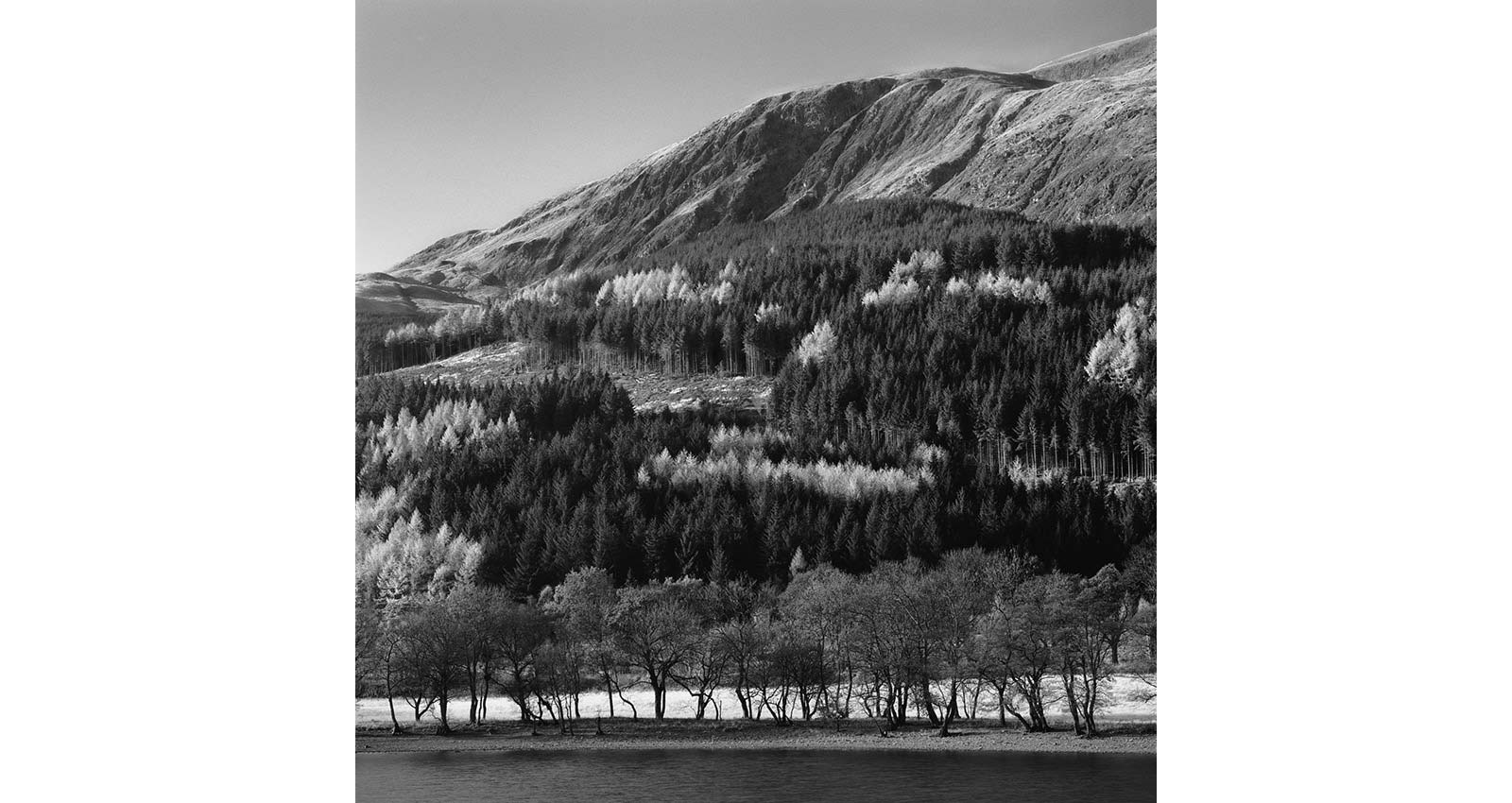 Stacks Image 187