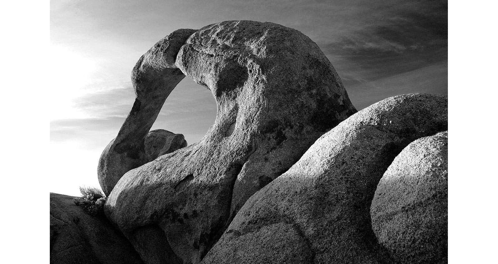 Stacks Image 128
