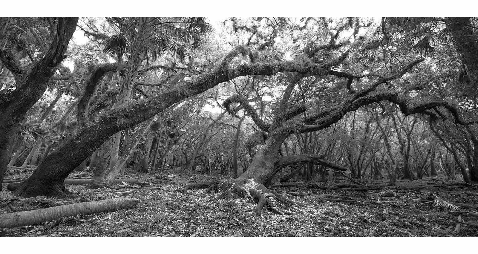 Stacks Image 190